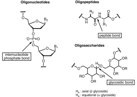 Figure 2. The three major classes of biooligomers. 