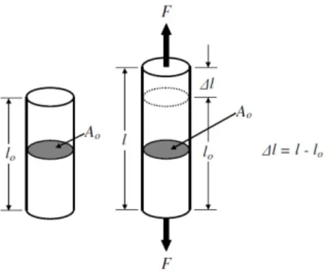Figura 2.11 - Alongamento de uma barra cilíndrica submetido a uma carga uniaxial [31]