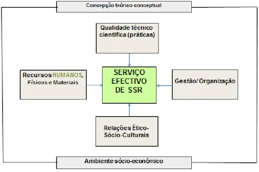 Figura 11. Elementos essenciais para a implementação de serviços efectivos de SSR 