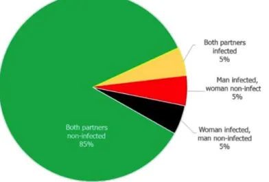 Figura 7. Níveis de sero-discordância entre casais em Moçambique. Fonte: INSIDA (2009)  