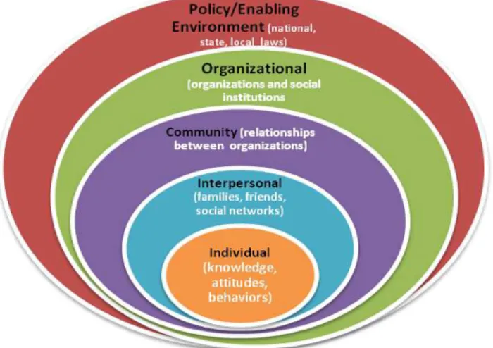 Figure 7: Social Ecological Model 