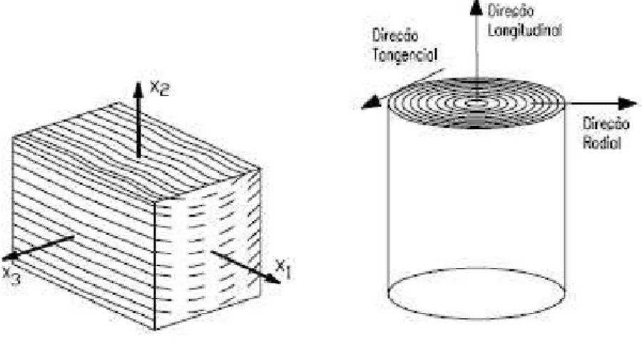 Figura 49 - Eixos relacionados com as direções das fibras da madeira.  Fonte: GESUALDO, Francisco A