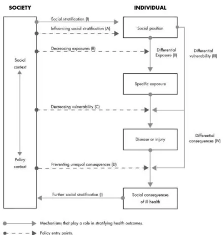 Figure 3. A framework for elucidating the pathways from the social context to health outcomes and for  introducing  policy  interventions