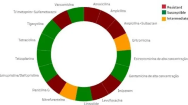 Figure 2.  HAITool's microorganism resistance patterns visualization through a donut chart