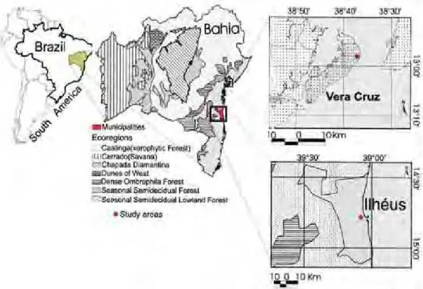 Figure 1. Angiopolybia pallens geographical study areas. 