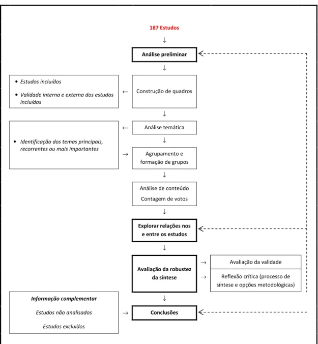 Figura 6 – Esquema da síntese narrativa