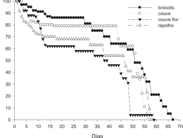 Figura 2. Curvas de sobrevivência de fêmeas de Orius insidiosus alimentadas com  larvas de Plutella xylostella criadas em diferentes brassicáceas