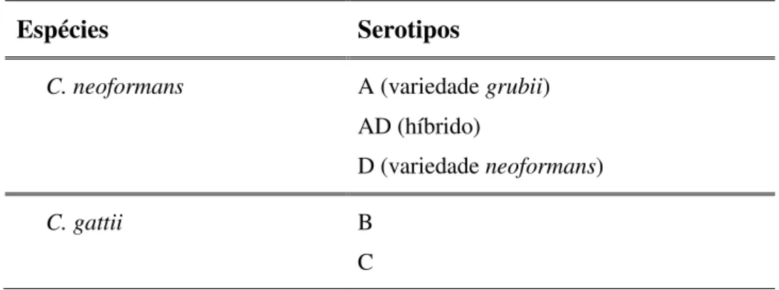 Tabela 2.1.  Espécies e variedades do complexo Cryptococcus neoformans 