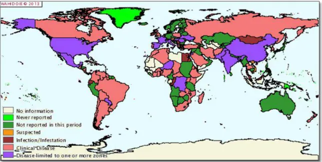 Figure 1.5. Worldwide distribution of Bovine tuberculosis (OIE, 2013). 