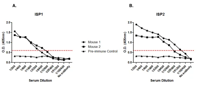 Figure 3.5 – IS1 and ISP2 serum titre determination by ELISA.  