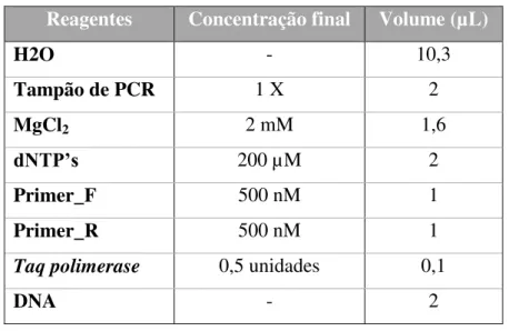 Tabela 3 - Mistura da reação de PCR. 