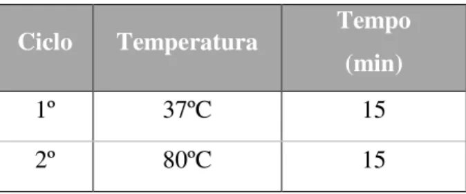 Tabela 5 - Ciclos de incubação para purificação de DNA. 