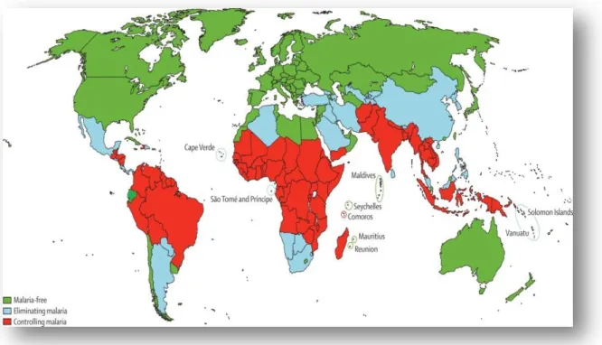 Fig.  1.  World  malaria  distribution:  categorization  of  countries  as  malaria  free,  eliminating  malaria  and  controlling  malaria  (adapted  from  Feachem,  et  al.,  2010  considering  data  from  WHO, 2012)