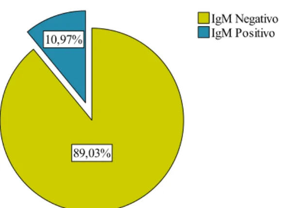 Gráfico 2 - Percentagem de anticorpos IgM Positivo/Negativo 