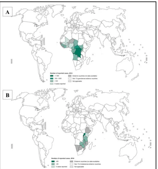 Figure  1:  Distribution  of  Human  African  Trypanosomiasis:  A-  Distribution  of  Human  African  Trypanosomiasis  (T
