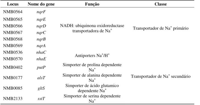 Tabela  1. Alguns  transportadores  de  Na +   de N.  meningitidis  MC58.  Os  transportadores  foram  encontrados  no  cmr.jcvi.org na ferramenta de gene search