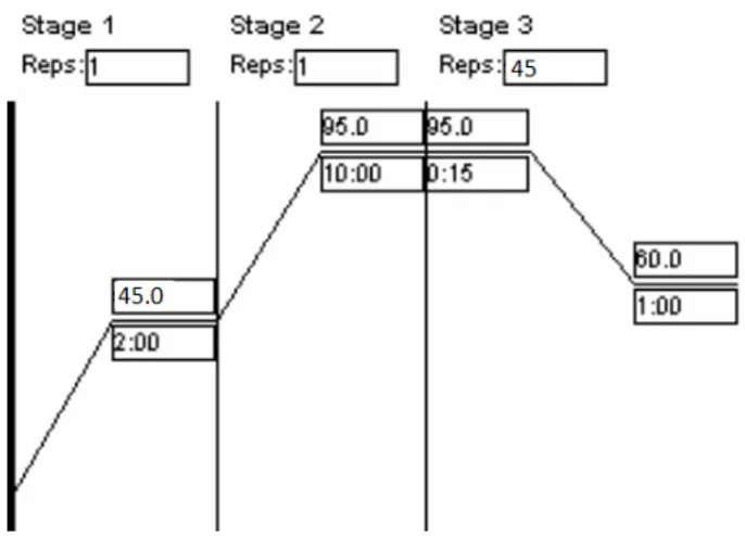 Figura 4 - Ciclo de amplificação da PCRtr. (Adaptado de [12]).
