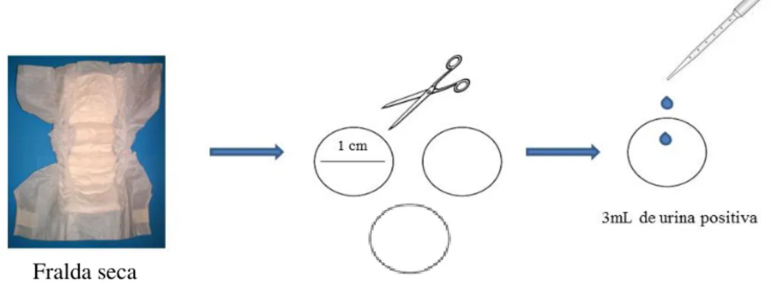 Figura 6 - Preparação dos discos com uma urina positiva.