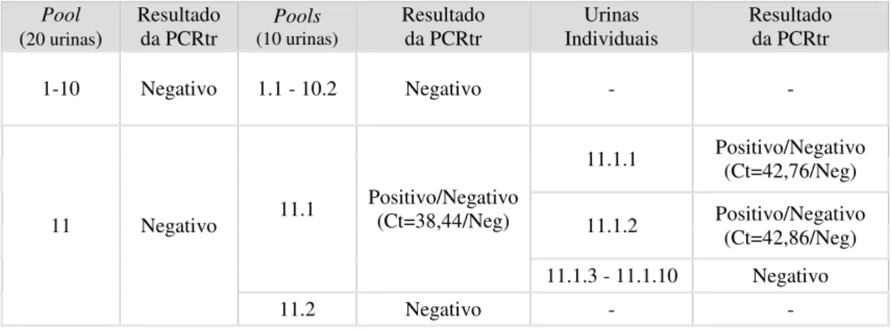 Tabela 2 - Resultados de PCRtr para as primeiras onze pools (20 urinas), e respectivas subdivisões em  pools (10 urinas)