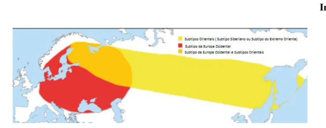 Figura  1  -  Distribuição  geográfica  dos  diferentes  subtipos  do  vírus  TBEV.  A  amarelo  está  indicada  a  distribuição  geográfica  dos  subtipos  Orientais,  os  quais  englobam  o  subtipo  Siberiano  e  o  subtipo  do  Extremo Oriente