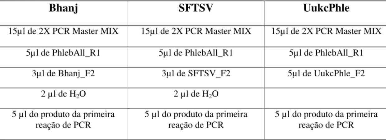 Tabela 2 - Composição e volumes utlizados em cada uma  das três segundas reações de  PCR (segundo  ciclo de amplificações), no rastreio de Phlebovirus