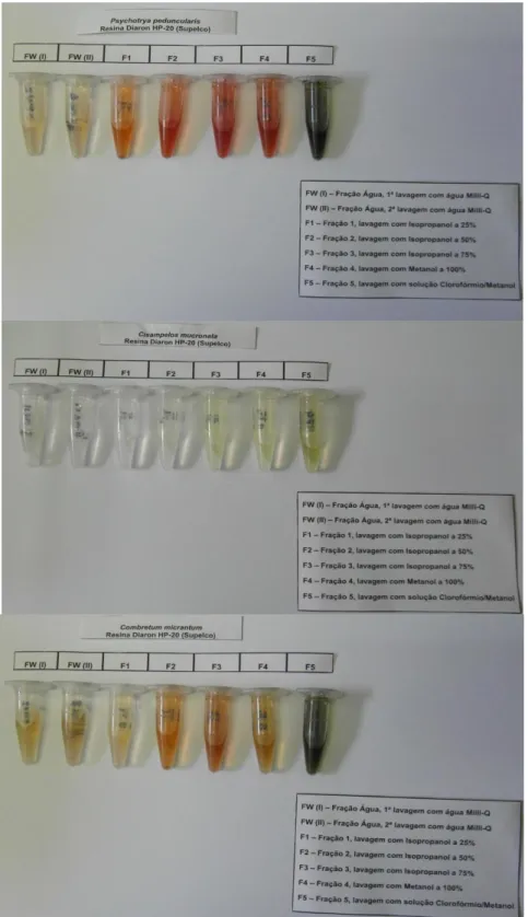Figura  14  -  Produtos  das  extrações  obtidos  após  sucessivas  lavagens  em  resina  Diaion  HP-20  (Supelco)