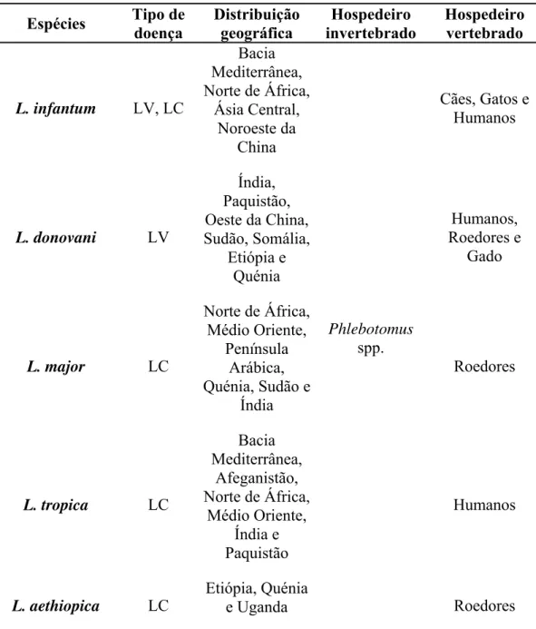 Tabela 1 – Principais espécies de Leishmania causadoras de Leishmaniose visceral e  Leishmaniose  cutânea  no  Velho  Mundo,  distribuição  geográfica,  hospedeiros  invertebrados e vertebrados (Adaptado de: Dedet e Pratlong, 2003; Desjeux, 1992)