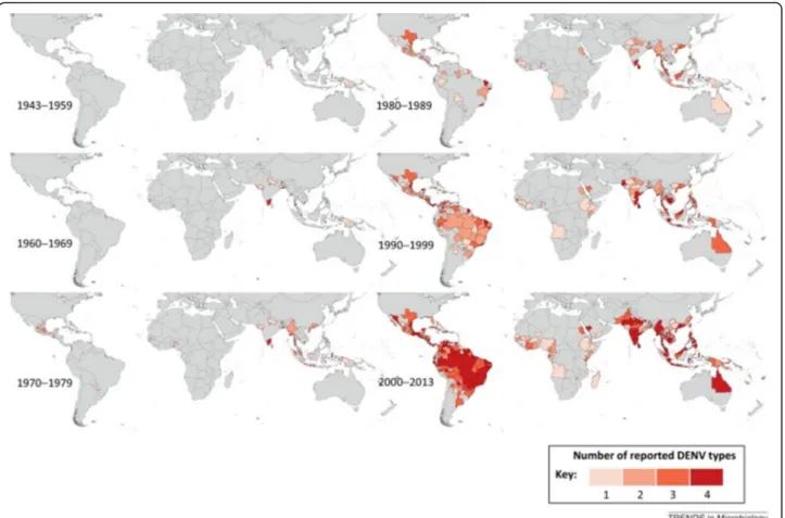 Fig. 1 Global spread of dengue virus (Courtesy of Dr. A. Wilder-Smith). Copyright: Creative Commons Attribution 4.0 License (https://creativecom mons.org/licenses/by/4.0/)