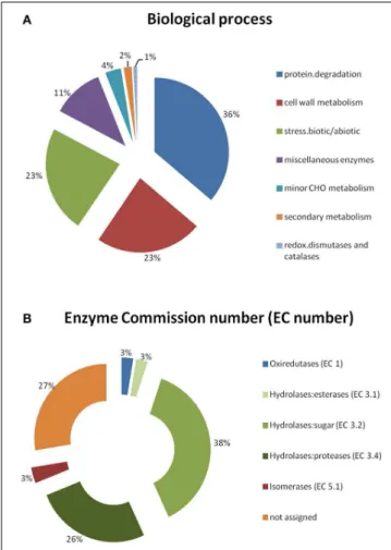 FIGURE 3 | Functional categorization of the identified coffee leaf APF proteins, based on MapMan “Bin” and GO ontology