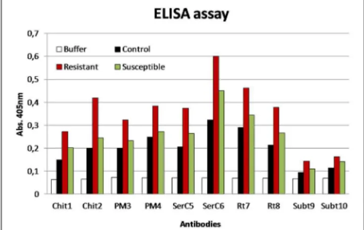 FIGURE 6 | ELISA assay using the antibodies produced against different proteins: chitinases (Chit), pectin methylesterase (PM), serine carboxypeptidase (SerC), reticuline oxidase (Rt), and subtilases (Subt).
