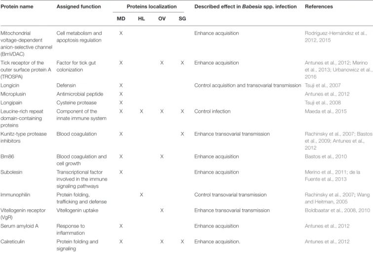 TABLE 1 | Tick molecules interfering with Babesia spp. infection.