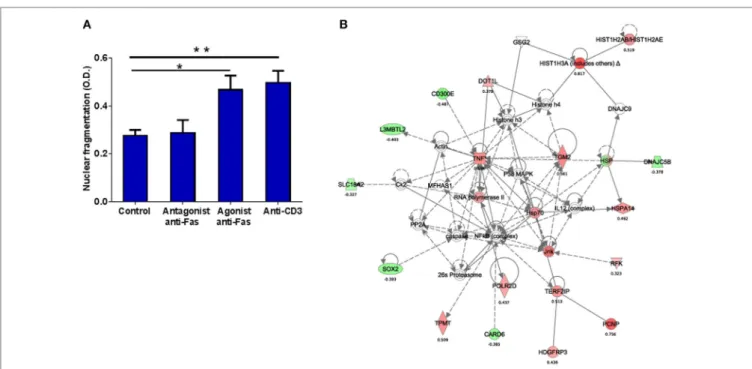 FigUre 6 | Fas surface expression correlates positively with in vitro  and ex vivo lymphoproliferation in haM/TsP patients