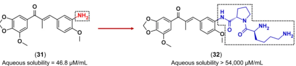 Figure 11. Latentiation represented by the replacing the amine (red) with an L -Lysine- L -Proline (blue) [78].