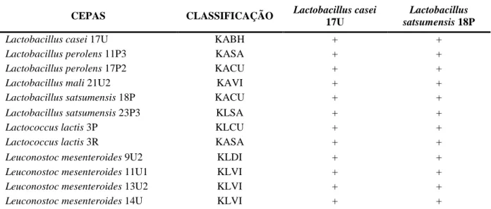 Tabela  4:  Resultado  qualitativo  de  atividade  inibitória  de  sobrenadantes  neutralizados  filtrados  (SNF)  e  sobrenadantes  filtrados  (SF)  em  teste  de  atividade  inibitória  indireta  por  método  de  difusão  em  poços  contra  Lactobacillus