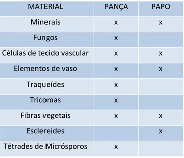 Tabela  2.  Diversidade  de  materiais  encontrados  no  conteúdo  intestinal  de  operários  de  C