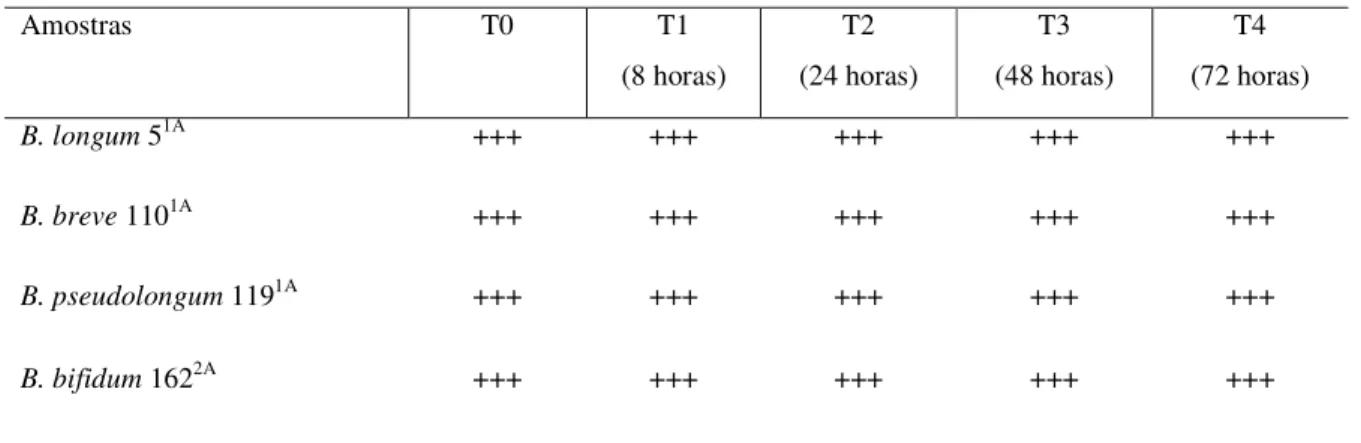 Tabela 2 - Tolerância de Bifidobacterium spp. em diferentes tempos (T0, T1, T2, T3 e T4) de  exposição ao oxigênio  Amostras  T0  T1  (8 horas)  T2  (24 horas)  T3  (48 horas)  T4  (72 horas)  B