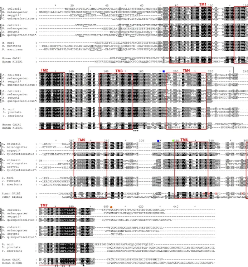 Fig 7. Sequence conservation of the duplicate dipteran AST-ARs with the insect and human orthologues
