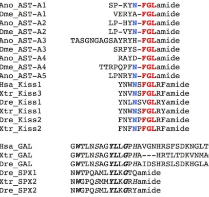 Fig 8. Amino acid sequence alignment of the dipteran AST-A mature peptides with the vertebrate KISS, GAL and SPX family members
