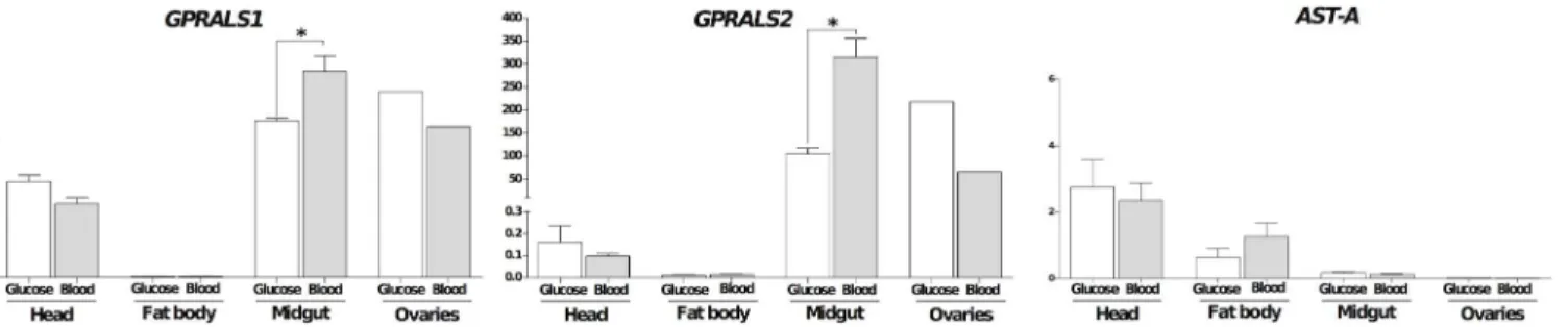 Fig 9. Tissue distribution and effect of a blood meal on the expression of the paralogue GPRALS and AST-A transcripts in the female A