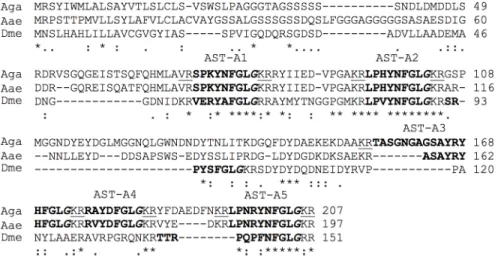 Fig 2. AST-A peptide precursor in A. gambiae. The deduced sequence of AST-A in A. gambiae (Aga, PEST) was obtained from the AGAP003712 gene and confirmed using EST data
