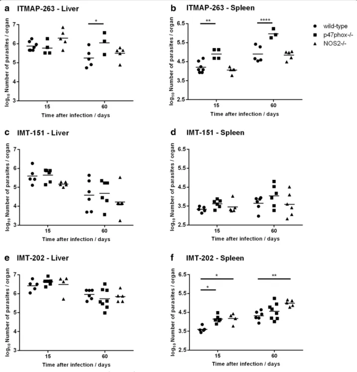 Fig. 3 Parasite loads in wild-type, p47phox −/− or Nos2 −/− mice infected with different strains of L