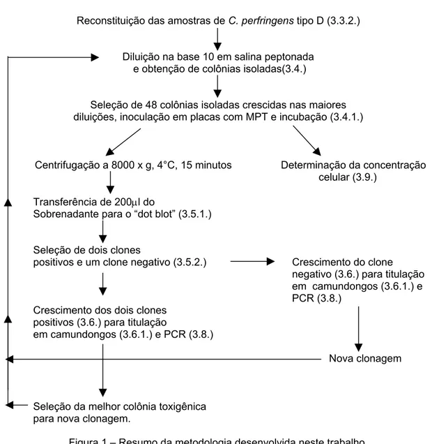 Figura 1 – Resumo da metodologia desenvolvida neste trabalho.