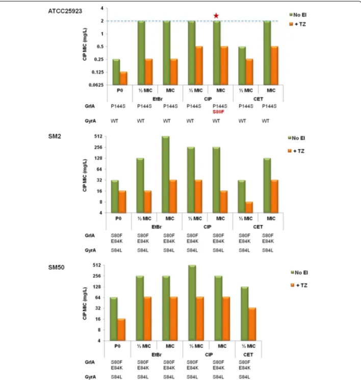 Fig. 6 Effect of thioridazine on the ciprofloxacin MIC for the strains exposed to EP substrates