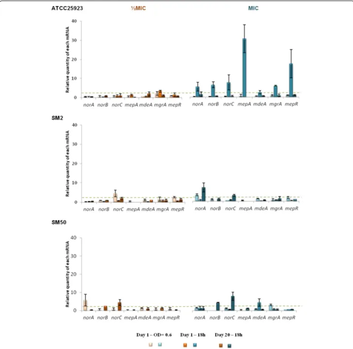 Fig. 4 Expression levels of EP and regulator genes of the strains in study during exposure to CIP