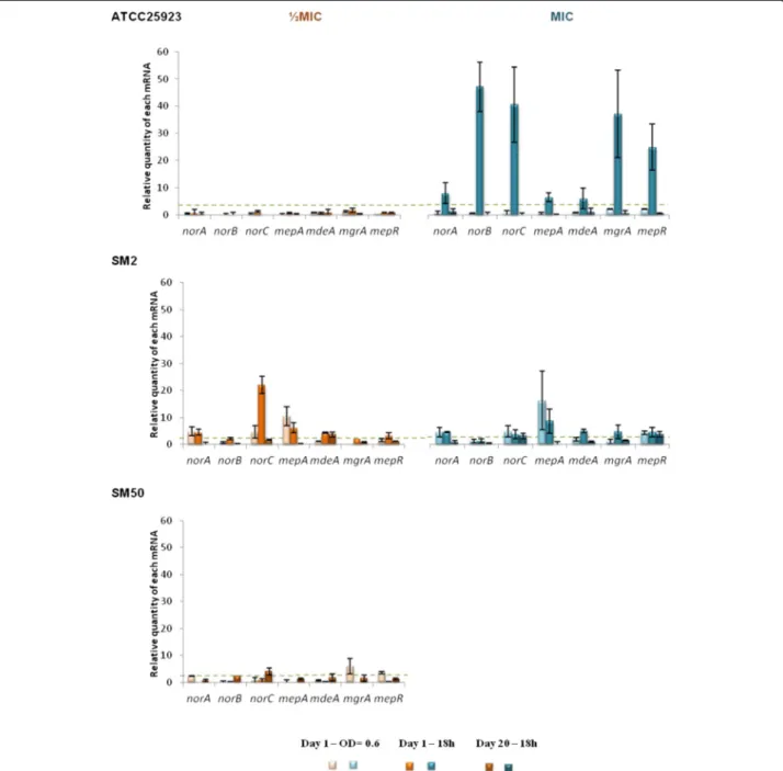 Fig. 5 Expression levels of EP and regulator genes of the strains in study during exposure to CET