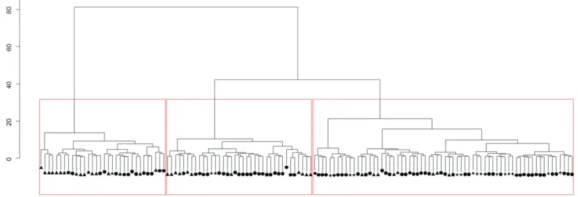 Figure 4. Hierarchical agglomerative clustering of the answers given by the participants, with Ward method