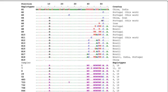 Fig. 2 Alignment of heterozygous ITS2 sequences of D. immitis from Portuguese canine samples