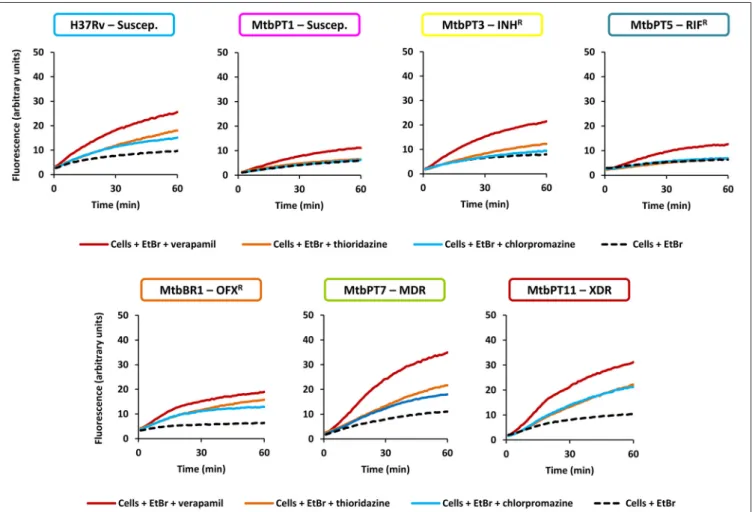FIGURE 2 | Evaluation of the effect of efflux inhibitors on the accumulation of ethidium bromide on the M