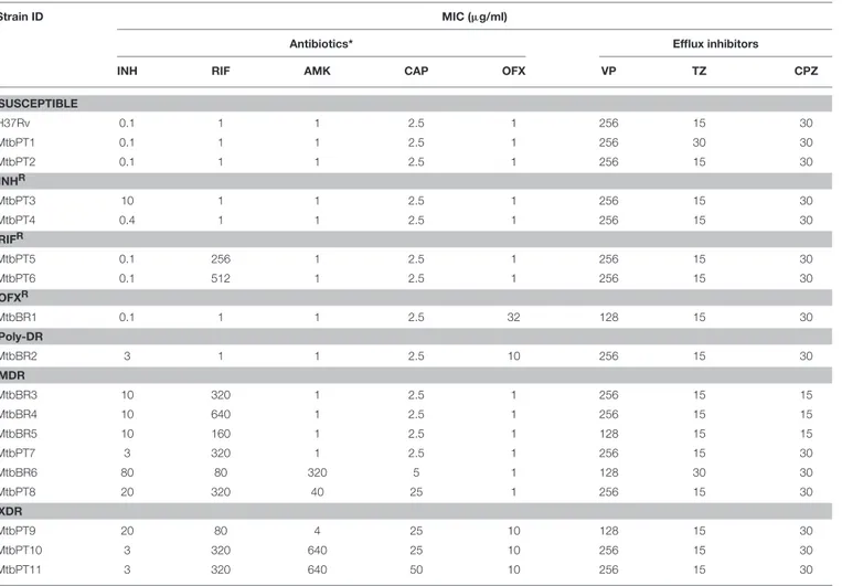 TABLE 3 | MIC of antibiotics and efflux inhibitors for the M. tuberculosis strains studied.