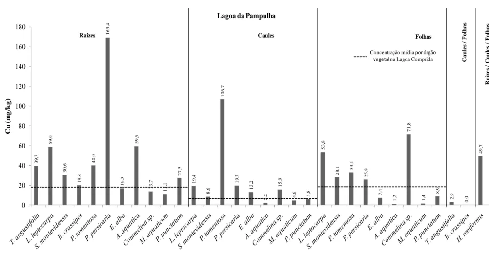 Figura 5.12 - Concentrações de Cu por órgão vegetal (raízes, caules e folhas) encontradas na Lagoa da Pampulha 39,759,030,619,840,0169,416,959,513,711,127,519,48,6106,719,713,22,215,94,65,853,828,133,125,87,41,271,81,48,92,9 0,0 49,702040608010012014016018